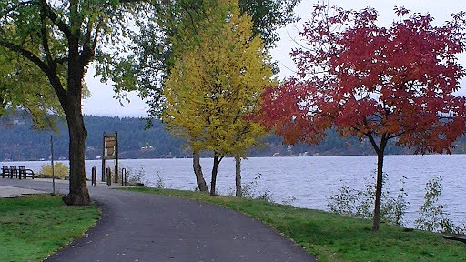 More than 40% of survey participants walk or run along the lake at least once a month during summer months.