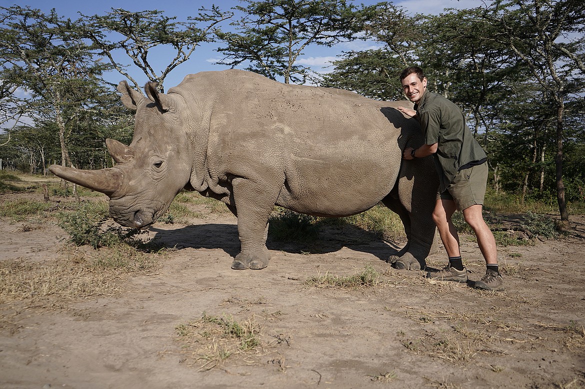 Jeff Hyer of Whitefish recently got the chance to meet Najin, one of two northern white rhinoseroses that remain in the world. (Photo courtesy of Jeff Hyer)