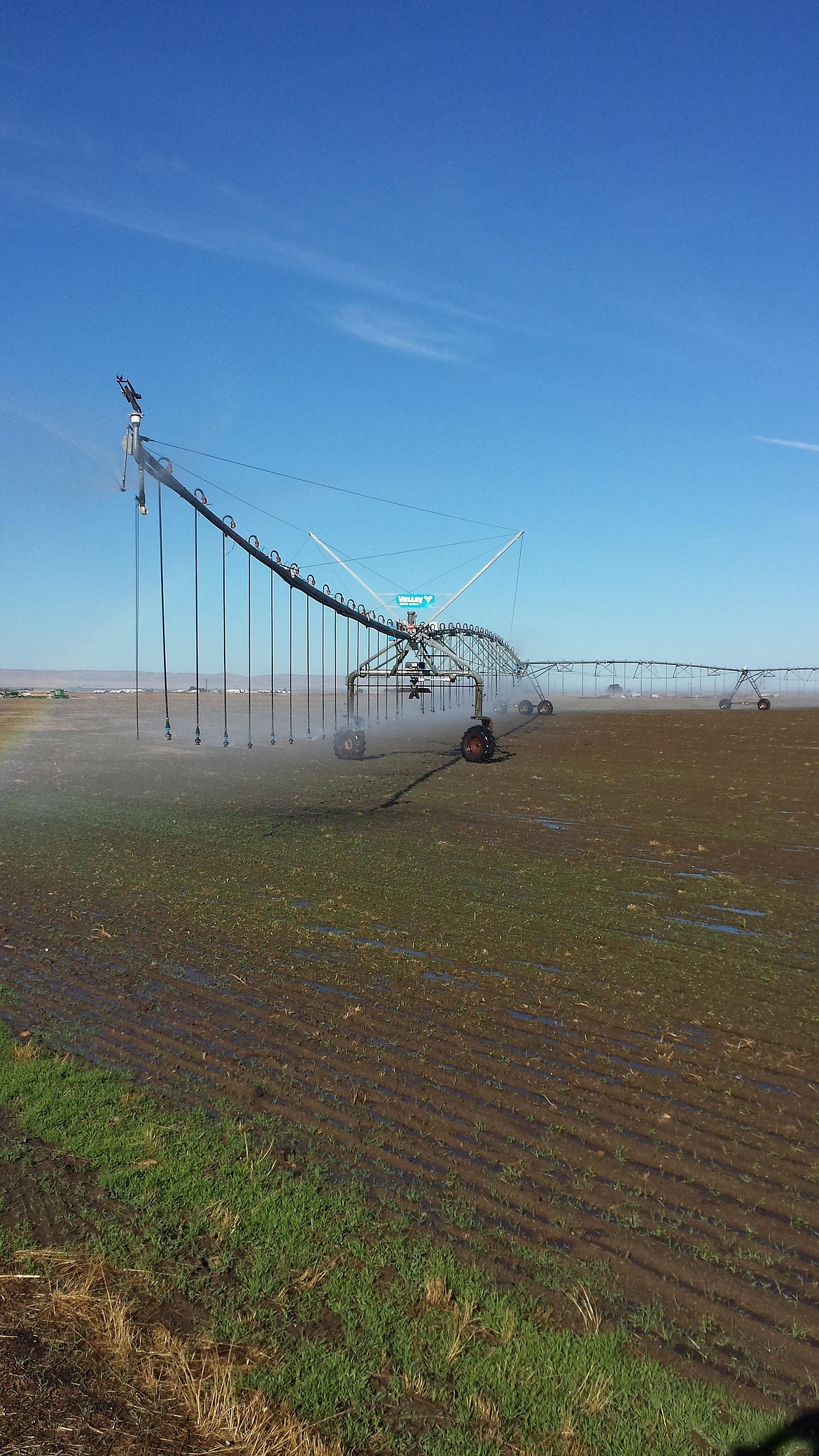 A field in western Grant County, near Road 2 Northwest and Road P Northwest is watered by a pivot system.