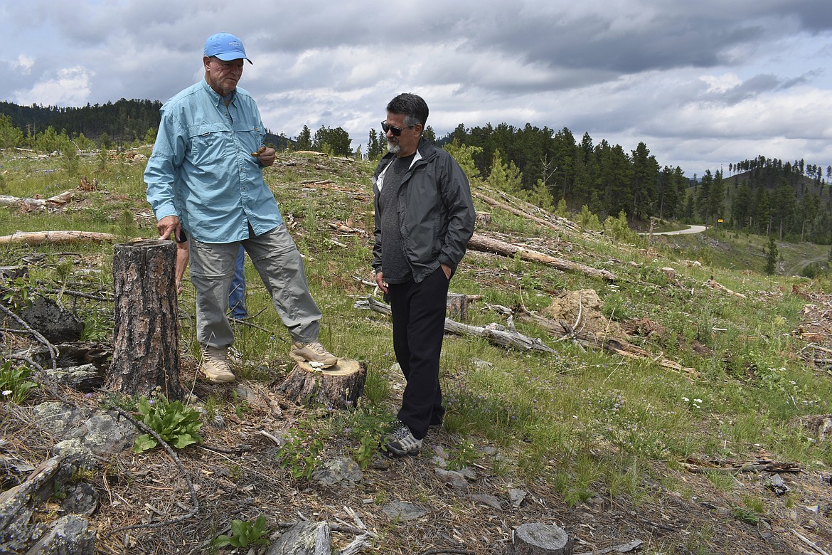 Former U.S. Forest Service Deputy Chief Jim Furnish talks with retired agency employee Dave Mertz at a logging site in the Black Hills National Forest, on July 14, 2021, near Custer City, S.D. Across the U.S. West, more trees have been dying as climate change dramatically alters the landscape and leaves forests more susceptible to wildfire and pests. (AP Photo/Matthew Brown)