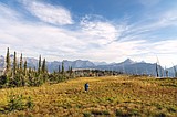 Tester opposes defunding reservation system in Glacier National Park