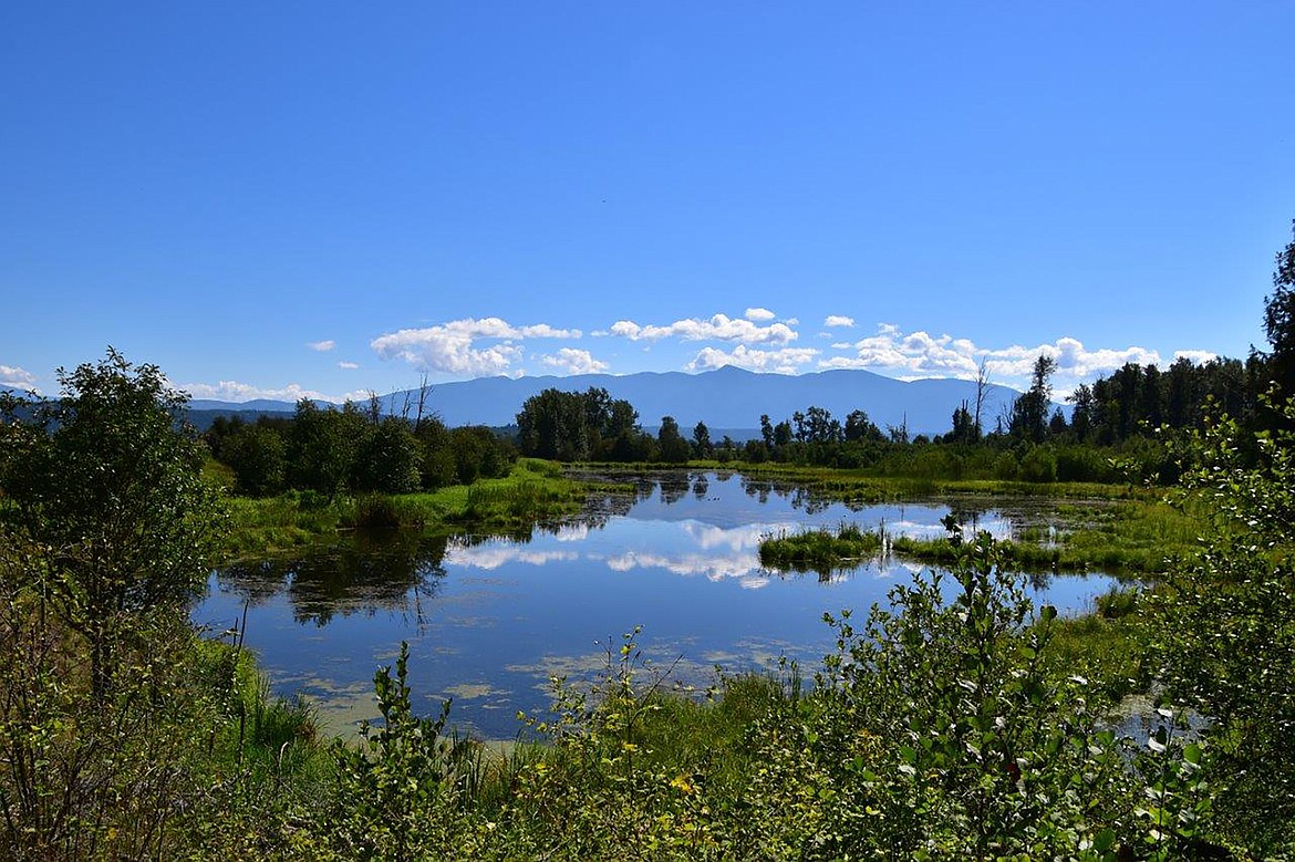 Local photographer Robert Kalberg captured this photo in the Westside Road area.