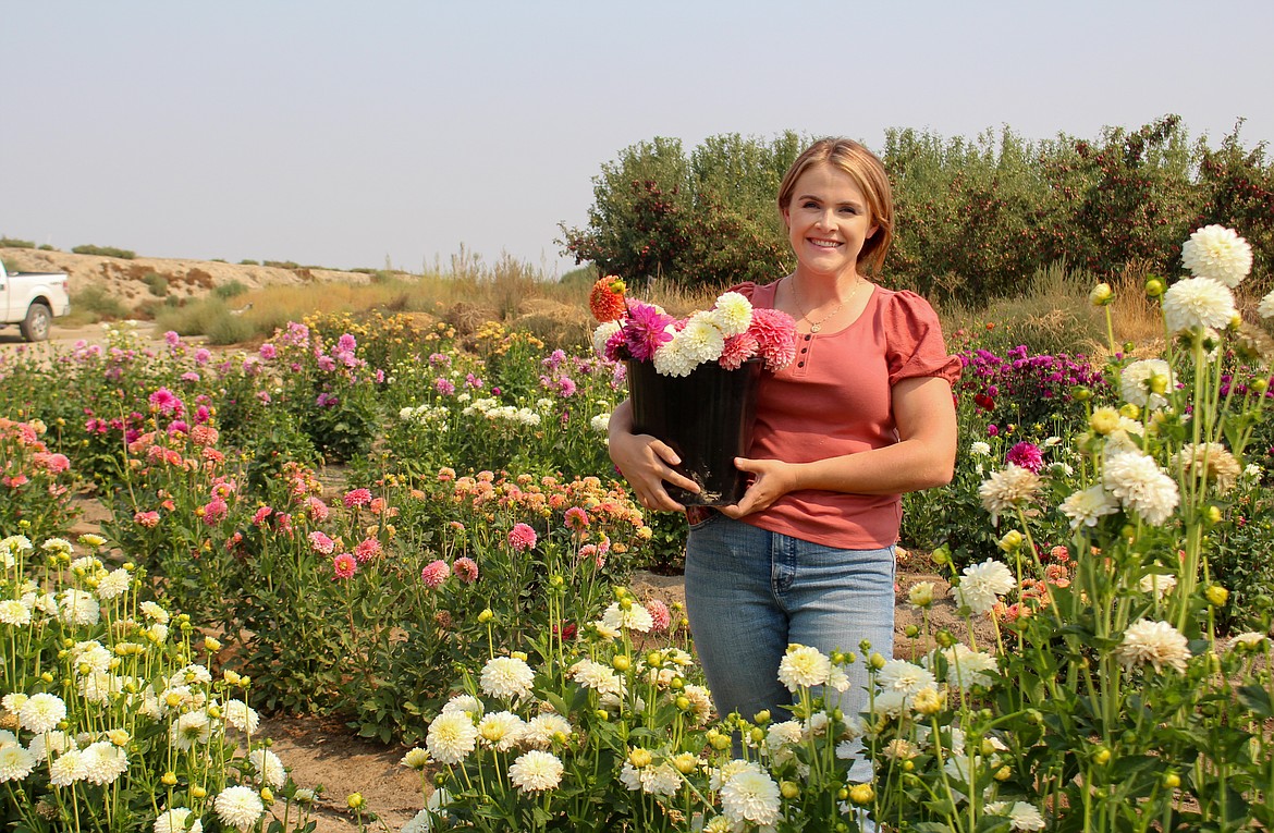 Kylie Gray-Eilers holds up a bucket of freshly-picked flowers in her rows of dahlias growing in Royal City.