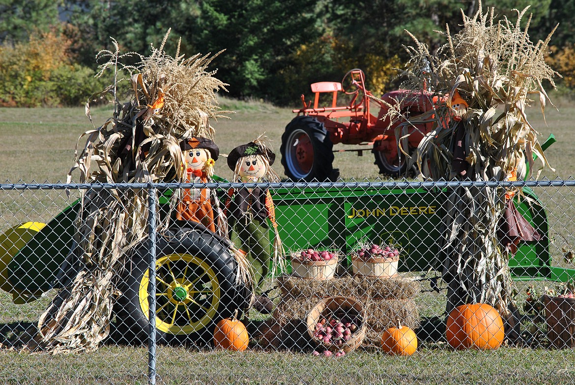 Happy Fall! Autumn began Sept. 22, and what better way to usher in the new season than displaying local bounties of the harvest. Paula and Curtis Mintz of St. Regis are known for their colorful and nostalgic display of vintage tractors near their home along Montana 135. Curtis worked on the tractor and Matt Eisenbacher, another St. Regis resident, loaned them the old John Deere manure spreader to be used as a backdrop for this festive fall display. Paula said, "Matt painted and fixed that old sorry looking spreader then brought the corn stalks up to add to the display." Even District Representative Denley Loge offered up gatherings from his harvests, he and Eisenbacher both contributed from their crops, bales of hay, baskets of apples, and pumpkins. Paula said the purpose to for creating the such a delightful arrangement, “It's kinda fun and God only knows we all need an uplift about now!” (Amy Quinlivan/Mineral Independent)