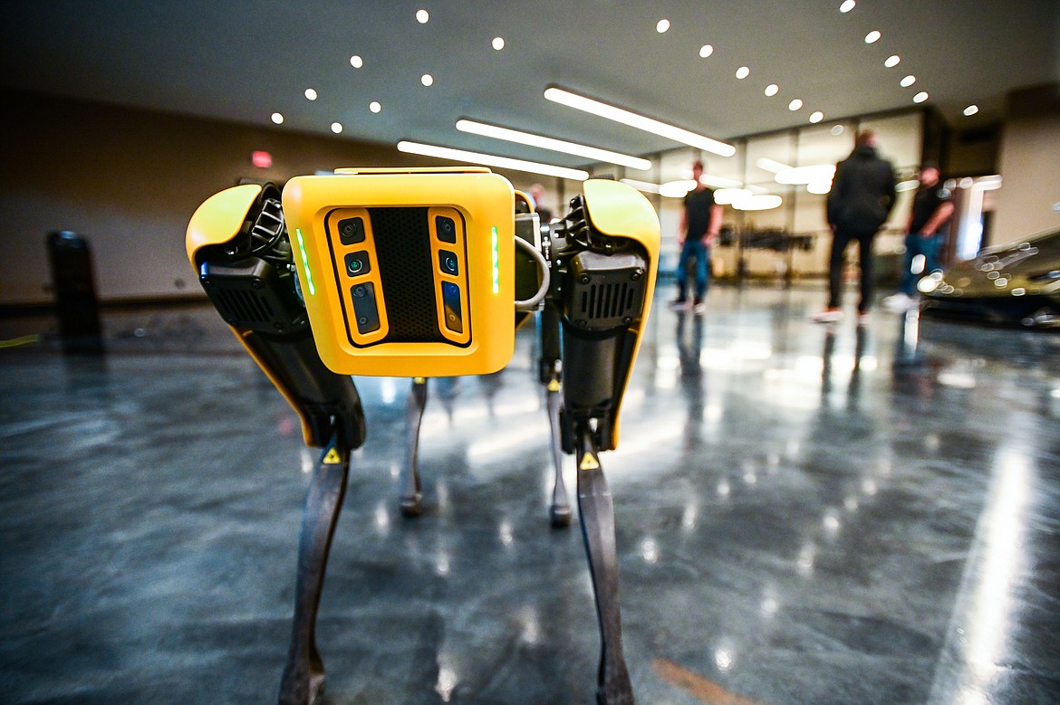 A Boston Dynamics Spot mobile robot is demonstrated inside a showroom at SWAE in Columbia Falls on Friday, Sept. 24. (Casey Kreider/Daily Inter Lake)