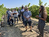 It’s all about the stress: Finding ways to make irrigation more efficient