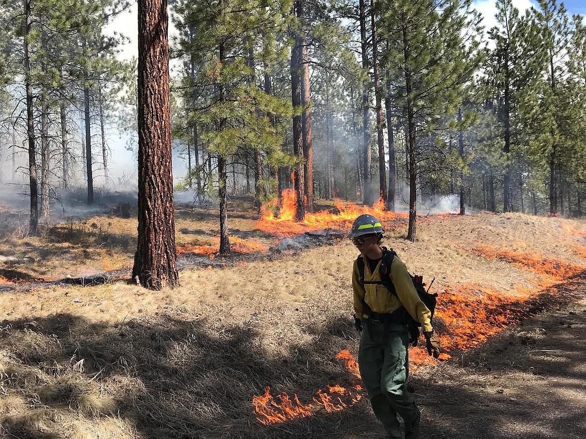 A U.S. Forest Service firefighter monitors a prescribed burn earlier this spring on the Lolo National Forest. (U.S. Forest Service photo)