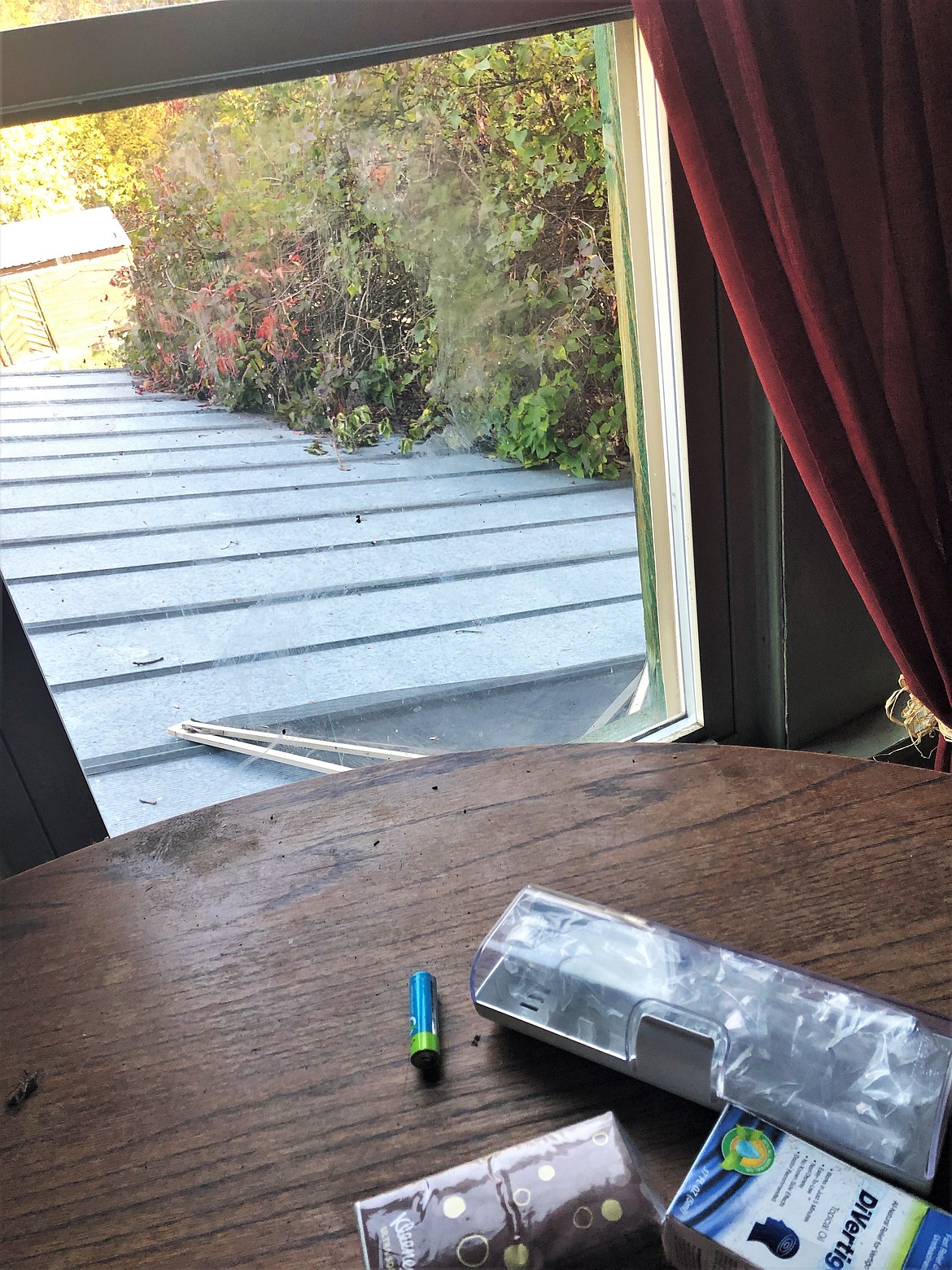 A large black bear climbed the lilac bush to the roof, tore out the screen, and came across the dining room table to explore the kitchen of a home on Mission Creek outside of St. Ignatius last week. (Courtesy of Irene Pritsak)