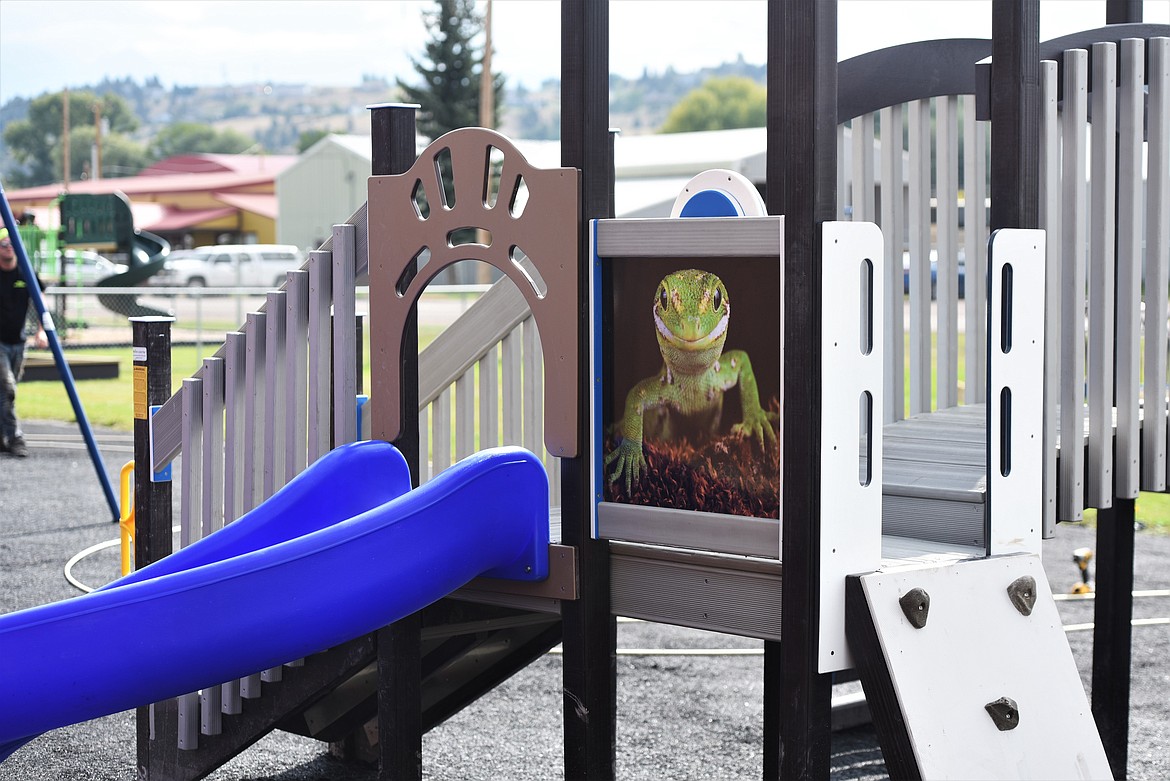 There's an interesting character hanging out in the slide area. (Scot Heisel/Lake County Leader)