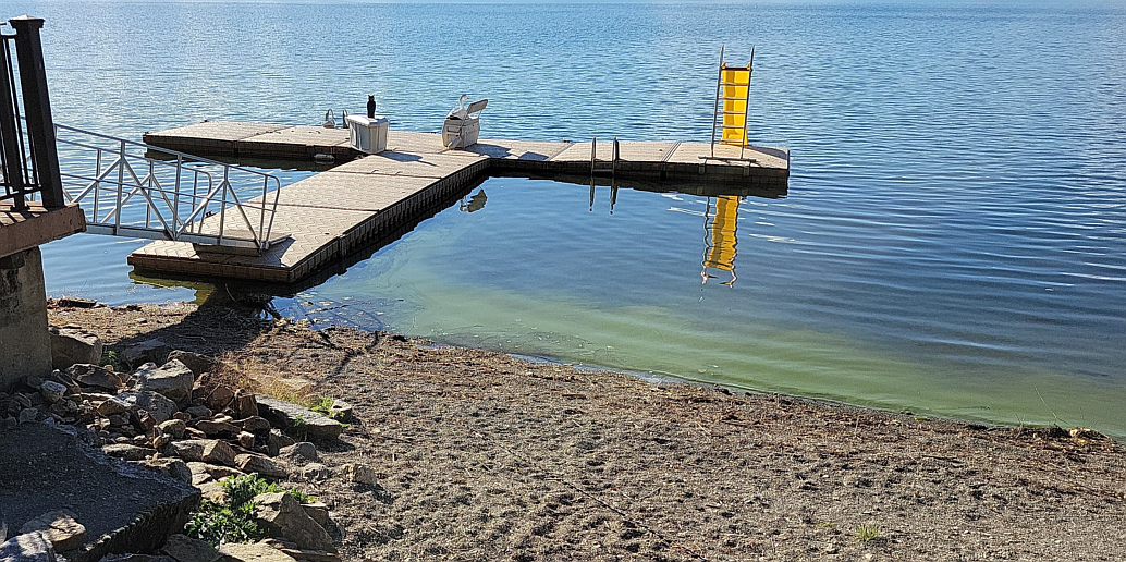 Harmful algal scum at Hauser Lake.