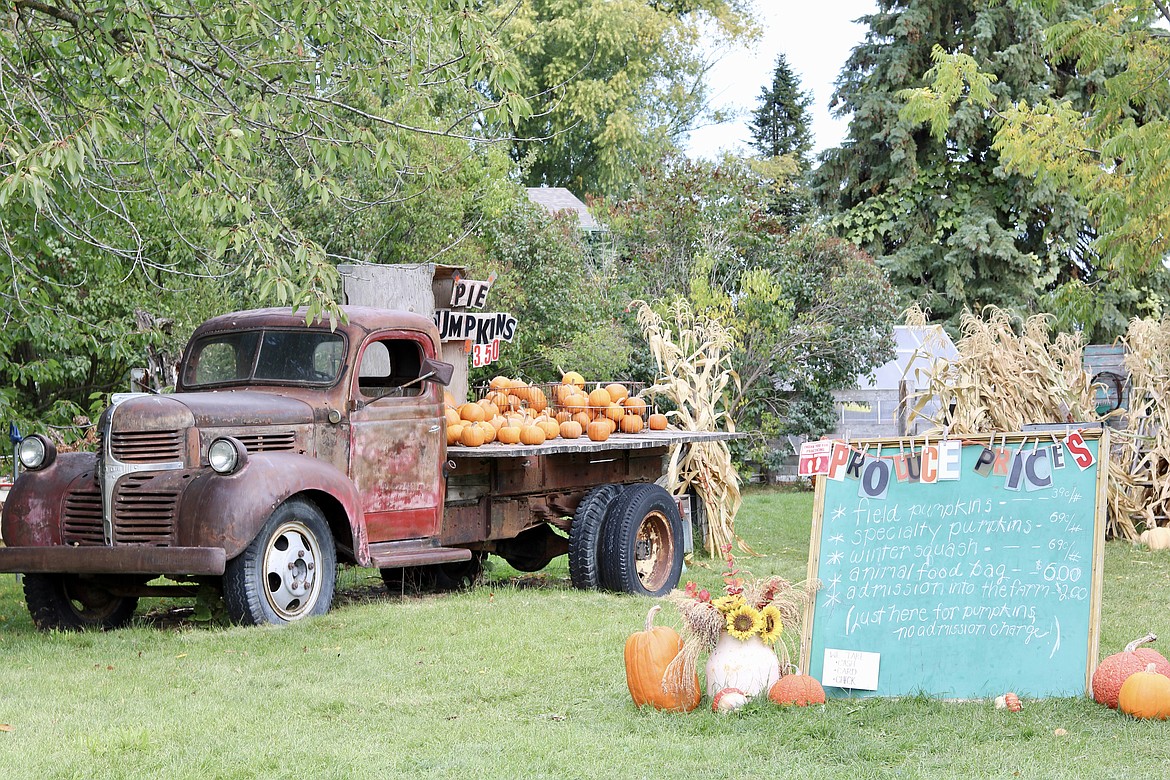 Prairie Home Farm, a U-pick pumpkin patch and more in Coeur d'Alene, is open  to the public every Wednesday and Saturday in October, with all other October days available for field trips, barn rental and birthday parties. HANNAH NEFF/Press