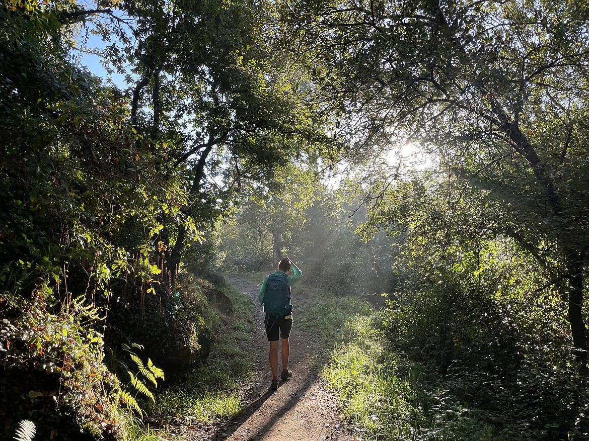 Jacobson on the Camino de Santiago.
Courtesy photo