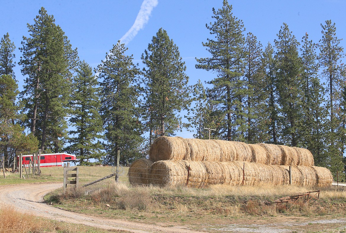 Round hay bales on the Matheson Heritage Farm.