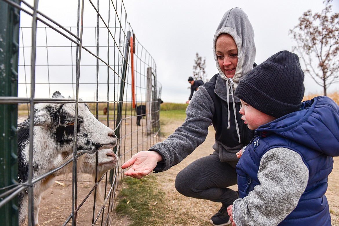 Melissa Dougherty and her son Luke pet goats at the petting zoo at Sweet Pickin's Pumpkin Patch in Kalispell on Wednesday, Oct. 13. (Casey Kreider/Daily Inter Lake)