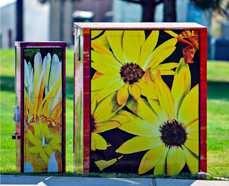 Signal box located at the corner of Government Way and Kathleen Avenue, adorned with artwork by former Coeur d'Alene High School students.