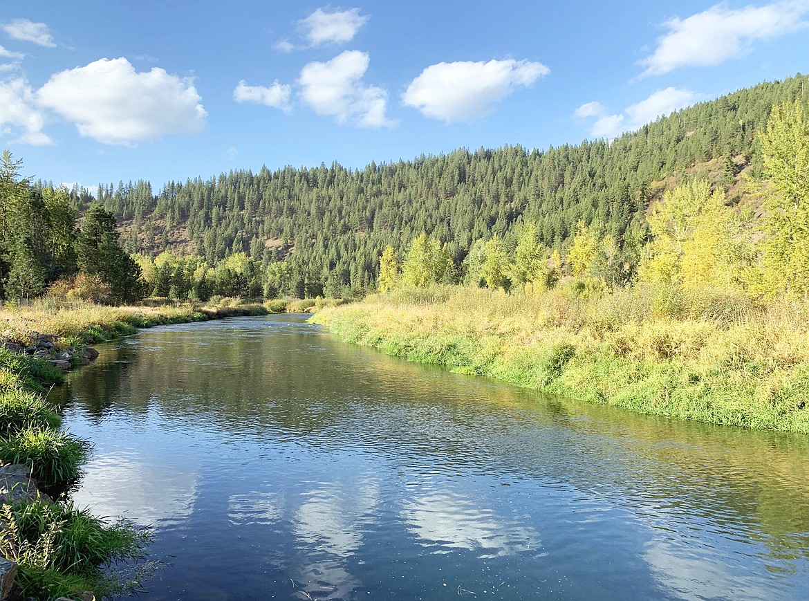 The Coeur d'Alene River runs next to the Trail of the Coeur d'Alenes.