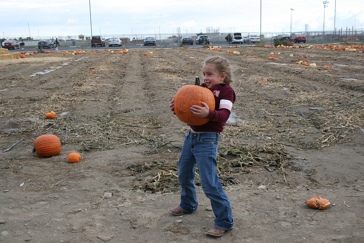 Gracie Wade lifts one hefty pumpkin at the Moses Lake High School FFA pumpkin patch Wednesday.