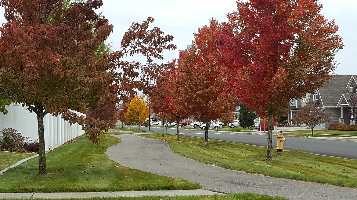Fall colors can also mean fall price drops on the North Idaho real estate market.