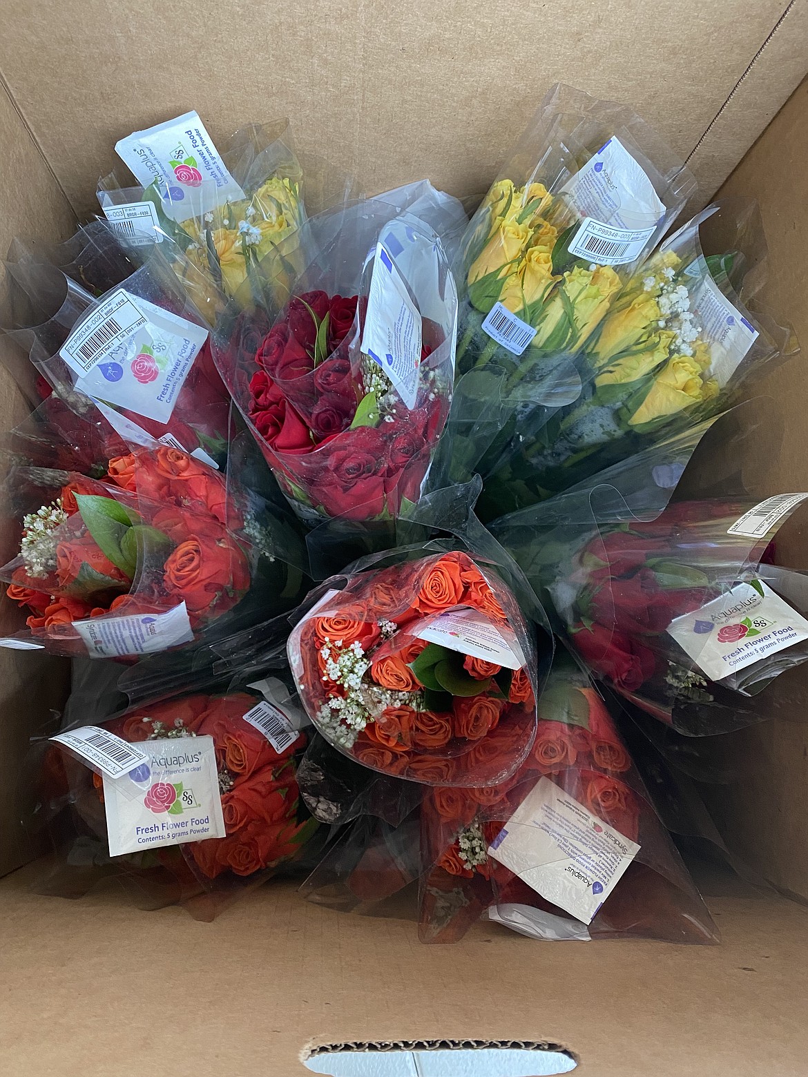 Boxes full of multi-colored blooms awaited eager Rotarians Friday morning.