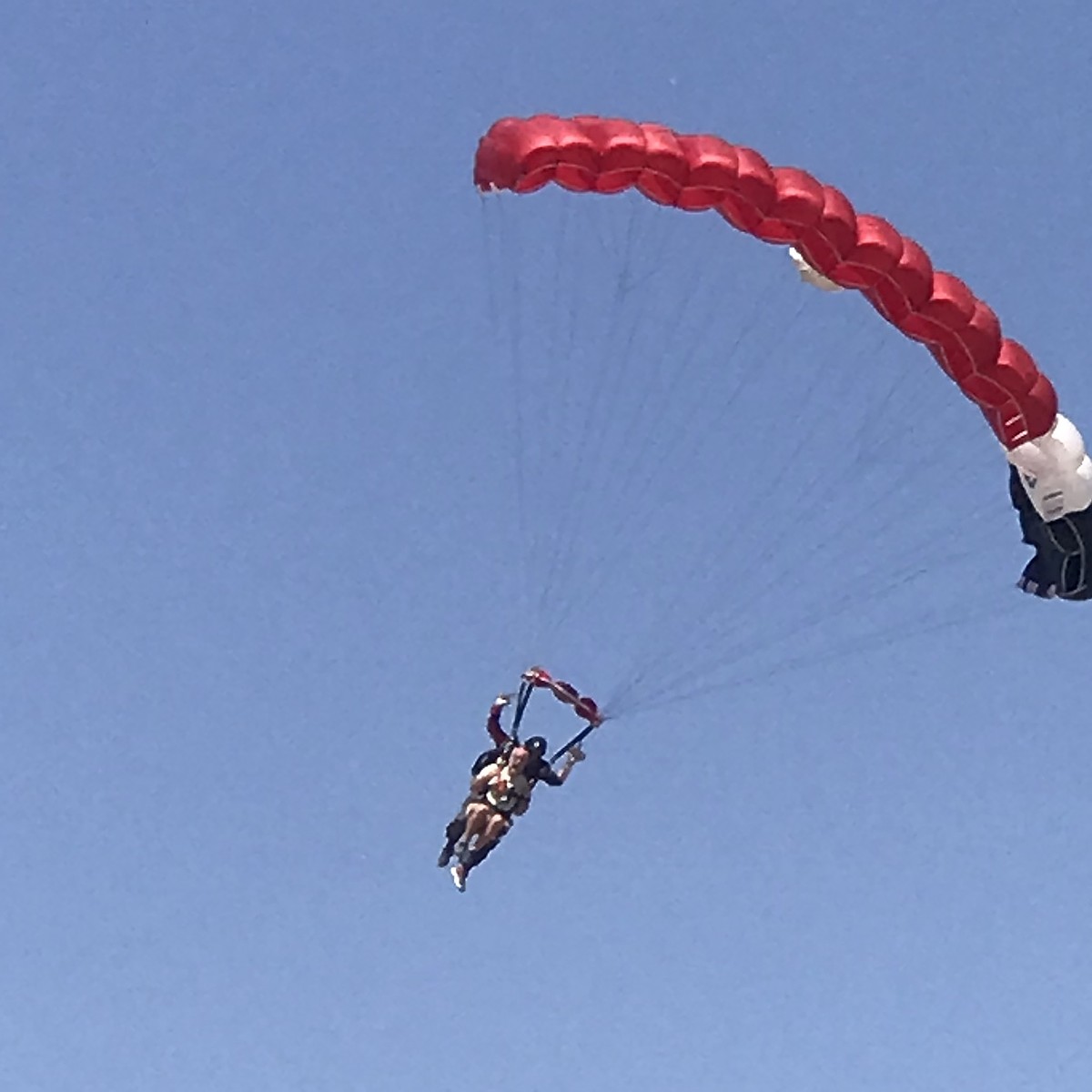 A giant jump for Parkinson's | Bonner County Daily Bee