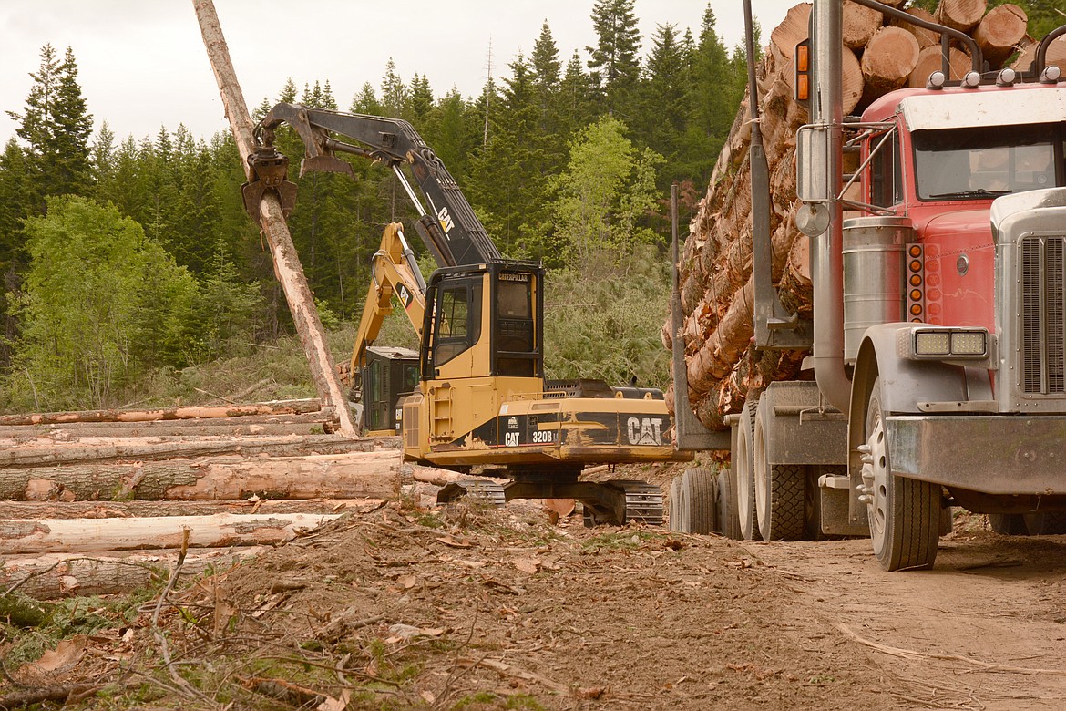 National forests continue to be a source of income for Idaho's counties.