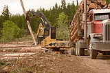 Idaho's roads, schools benefit from timber sales