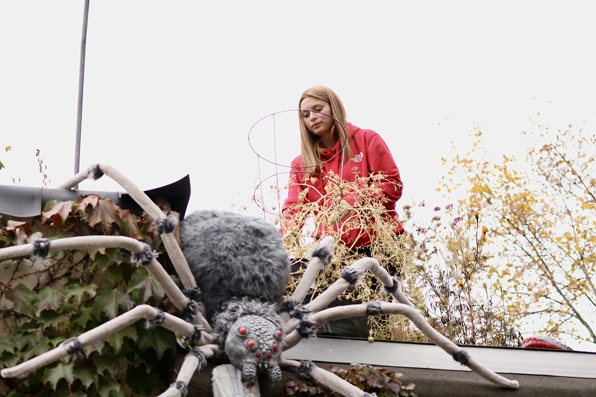 Nevaeh Bieker, a senior at Lake City High School, helps decorate her family home on Government Way on Friday for Halloween. HANNAH NEFF/Press