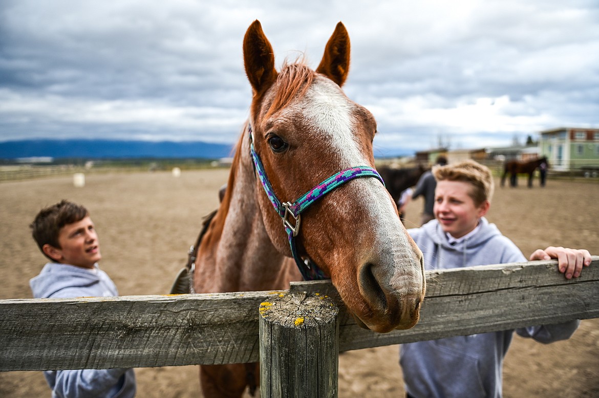 Whitefish Christian Academy seventh-graders Austin Alton, left, and Jack Walz learn to properly brush a horse named Hammer at Lost Creek Ranch on Friday, Oct. 15. (Casey Kreider/Daily Inter Lake)