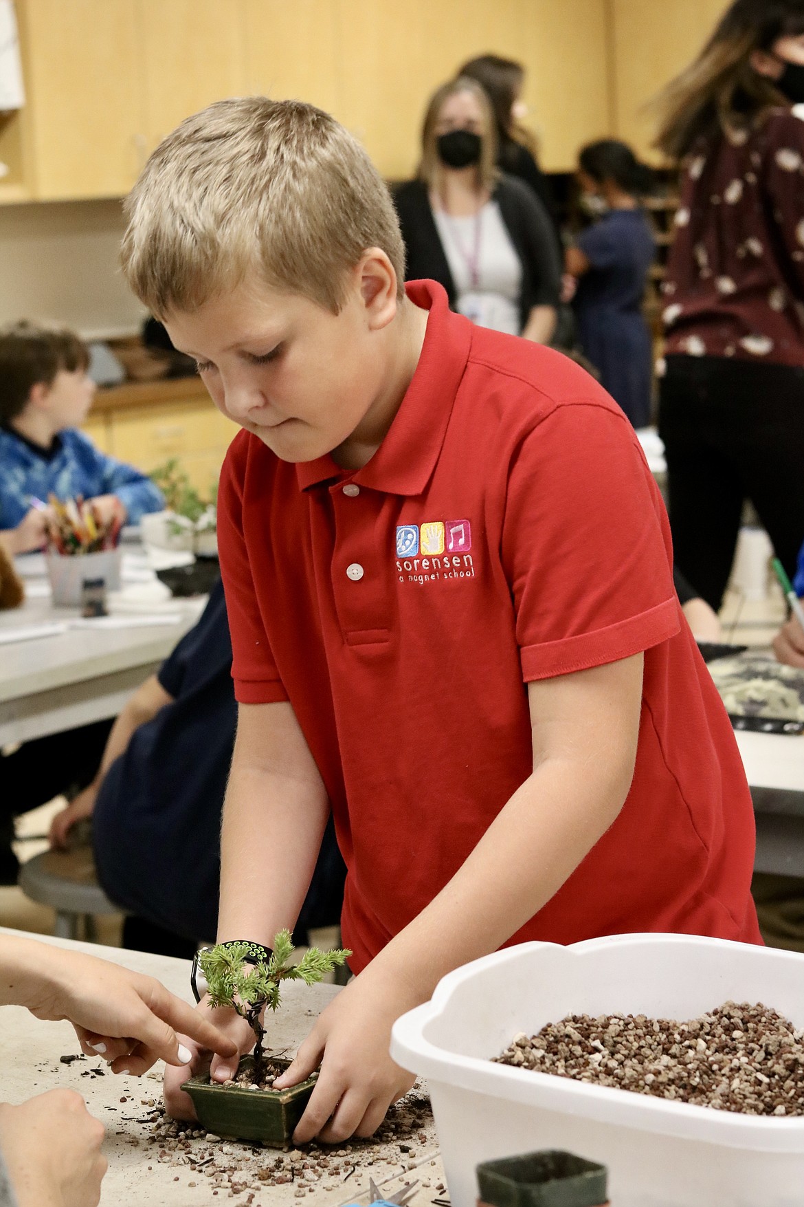 Fifth-grader Jaxon Haynie pots his bonsai tree under the supervision of Gray to Green Nursery co-owner Jordan Gray at Sorensen Magnet School of the Arts and Humanities in Coeur d’Alene on Thursday. HANNAH NEFF/Press