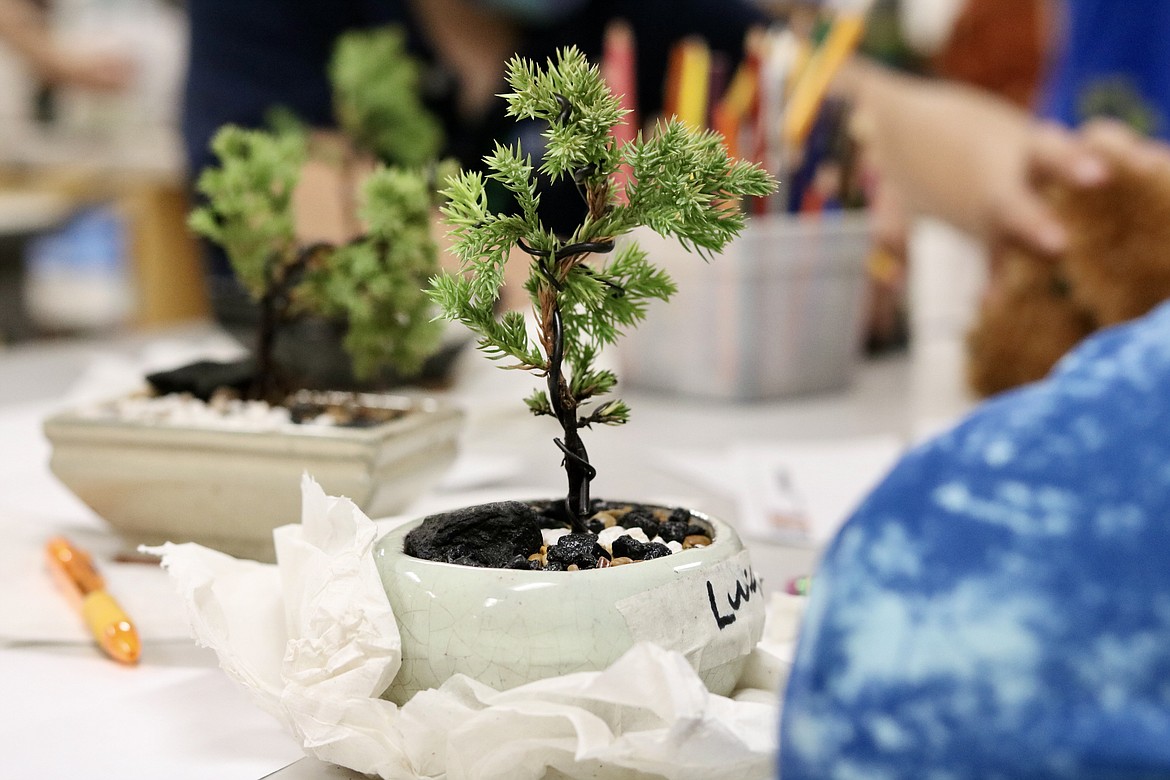 Gray to Green Nursery owners Robert and Jordan Gray taught 315 students at Sorensen Magnet School of the Arts and Humanities in Coeur d’Alene how to style and care for bonsai trees through the school's Artists-in-Residence program. HANNAH NEFF/Press