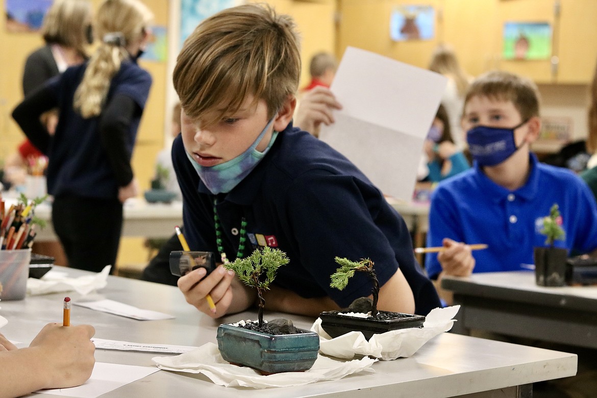 Landon Smith, a fifth-grader at Sorensen Magnet School of the Arts and Humanities in Coeur d’Alene, watches a classmate finish writing his artist's statement after they styled their bonsai trees on Thursday. HANNAH NEFF/Press