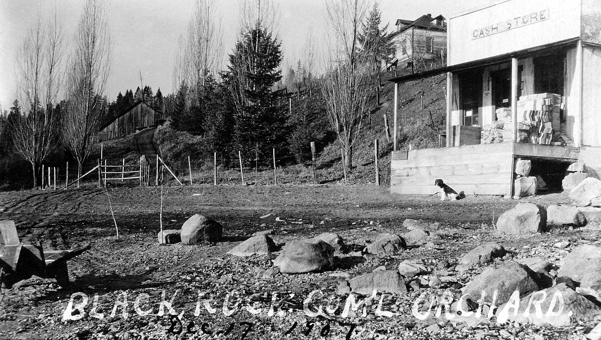 This Dec. 17, 1907, photo shows Black Rock Commercial Orchards and Cash Store with the house on the hill. The orchard was in business from the 1890s through 1915. Photo courtesy of the Museum of North Idaho