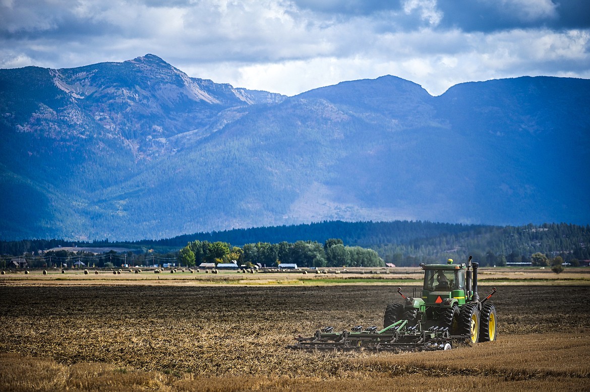 A farmer cuts stalks in a field along Somers Road on Friday, Oct. 1. (Casey Kreider/Daily Inter Lake)