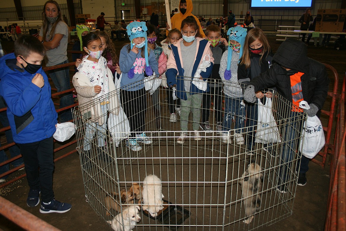 First-graders surround the puppy enclosure during First Grade Farm Day at the Grant County Fairgrounds Wednesday.