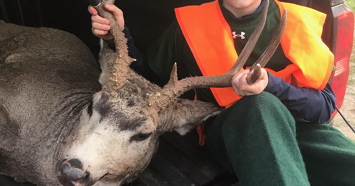 Bird hunting near me