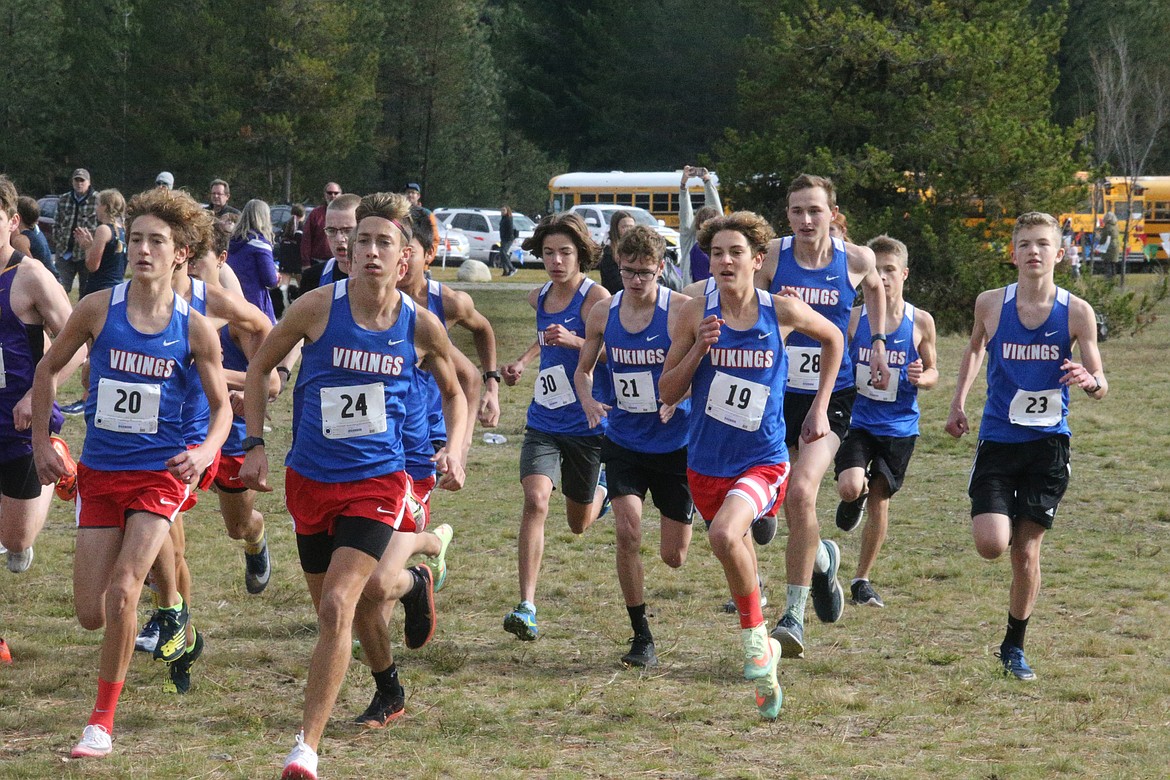 STATE HIGH SCHOOL CROSS COUNTRY MEETS Vikings young, but good enough