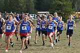 STATE HIGH SCHOOL CROSS COUNTRY MEETS: Vikings young, but good enough to make noise
