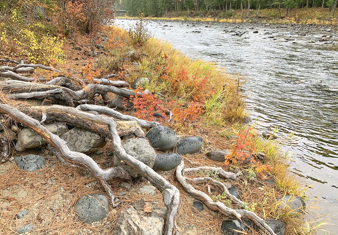 The Yaak River runs along the Yaak River Campground in the Kootenai National Forest. The campground is just off Highway 2 between Bonners Ferry and Libby, Mont.