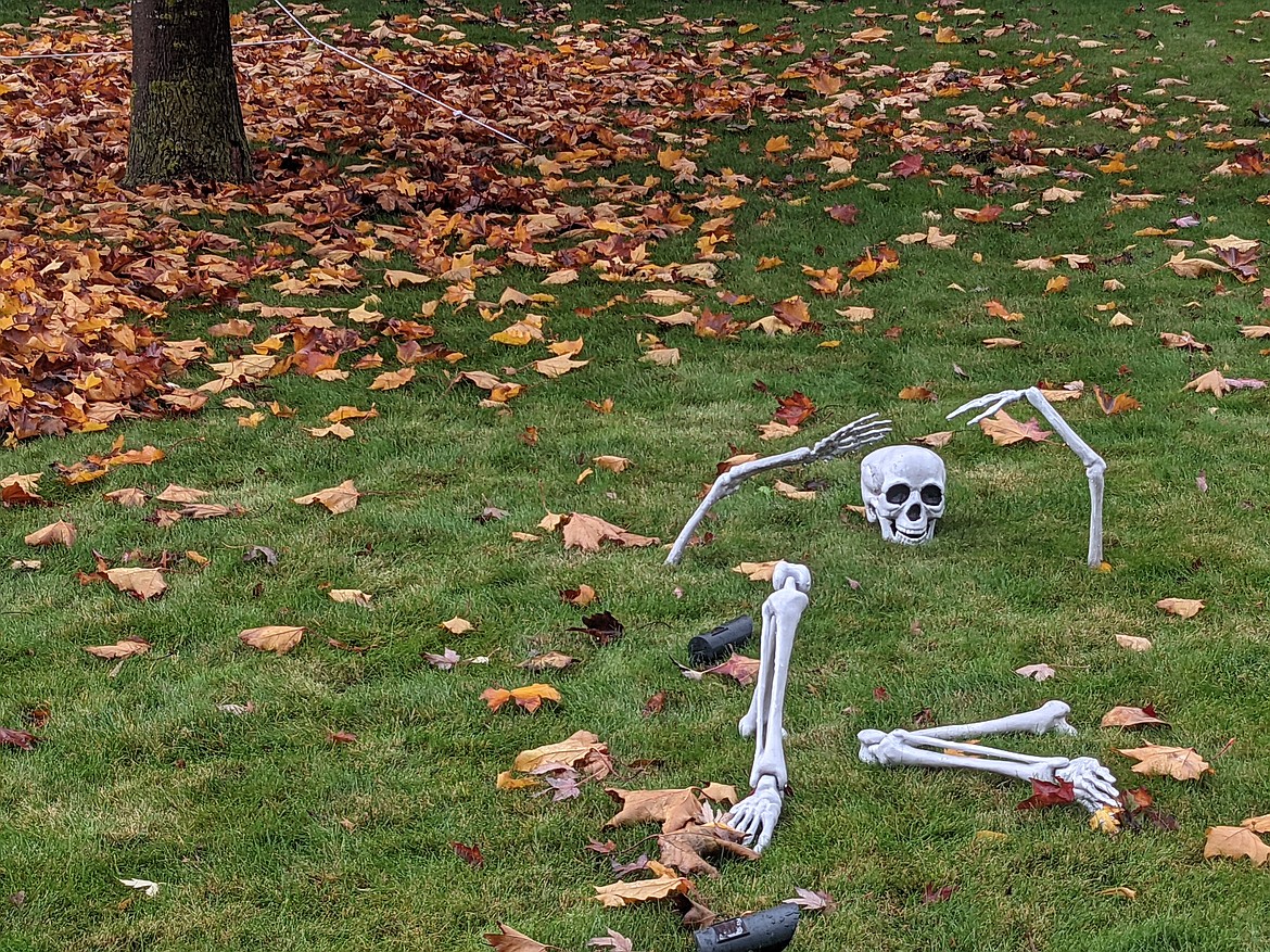 A common lawn ornament in Pennywise Meadows. It "disappears" at night.