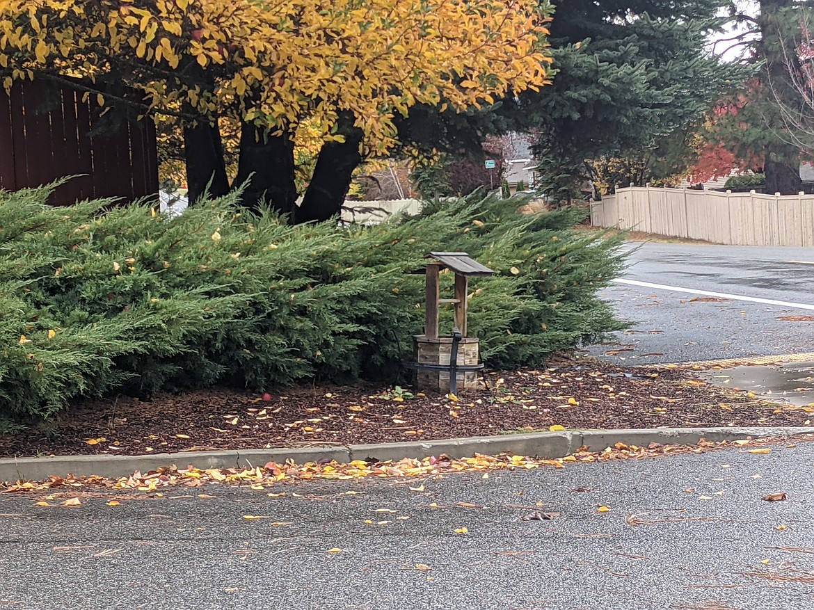 Despite assurances from the developer, Neighborhood of the Week discovered this non-sanctioned well on a street corner in Pennywise Meadows.