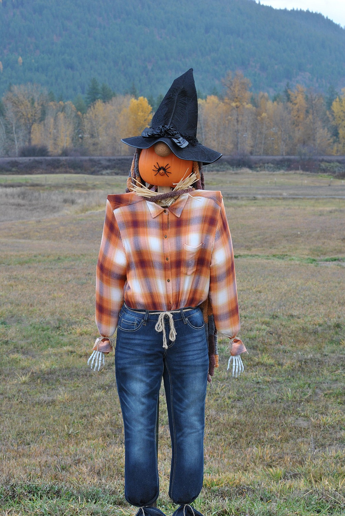 Second place went to Robin Suit with her festive and flannel pumpkin witch. (Amy Quinlivan/Mineral Independent)