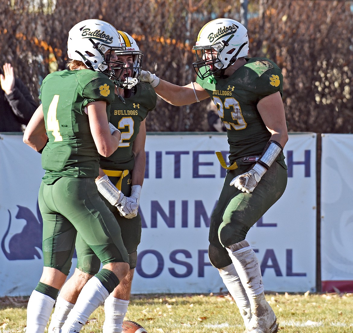 Whitefish players Jaxsen Schlauch (4) and Ty Schwaiger (23) celebrate with Bodie Smith (2) after he catches a huge pass in the end zone during a playoff game against Frenchtown on Saturday in Whitefish. (Whitney England/Whitefish Pilot)
