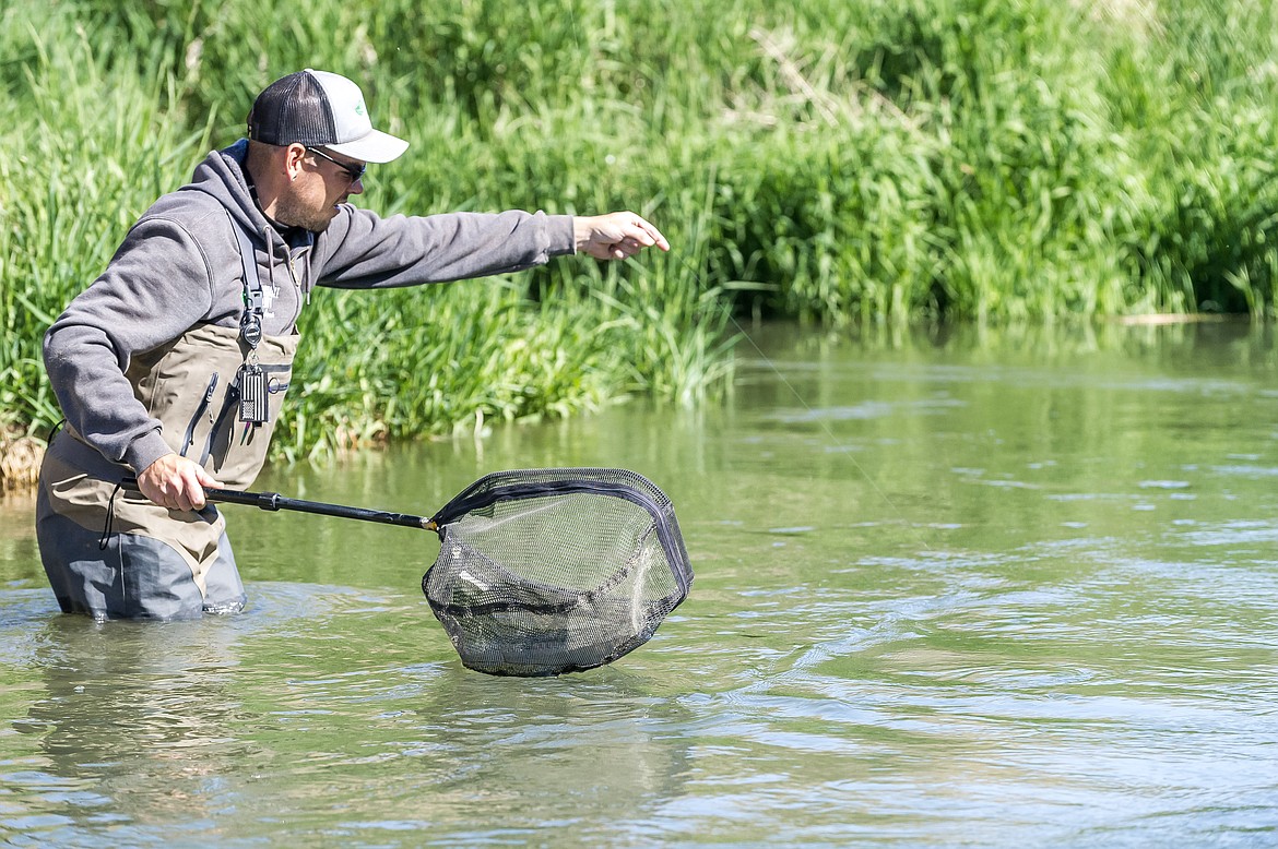 Joshua Shew, owner of Shewfly Lessons, nets a fish during a fly fishing lesson.