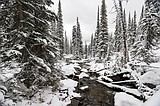 Winter could be colder, snowier than normal