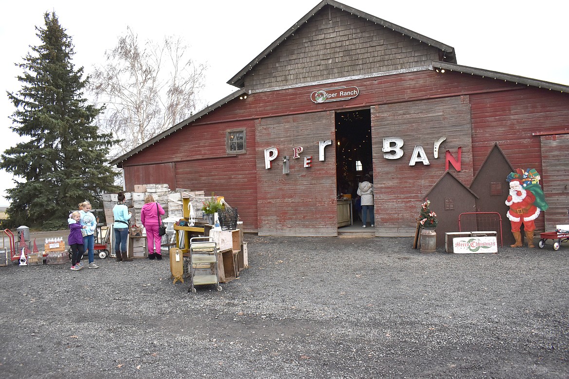 The Piper Barn Show is held in the old barn, pictured here, on the Pipers’ family farm.