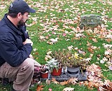 It's cemetery clean-up time