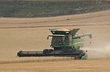Wheat, barley harvests hit hard by drought