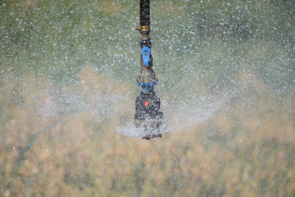 A sprinkler head gushes water onto a field between Moses Lake and Warden in mid-October.