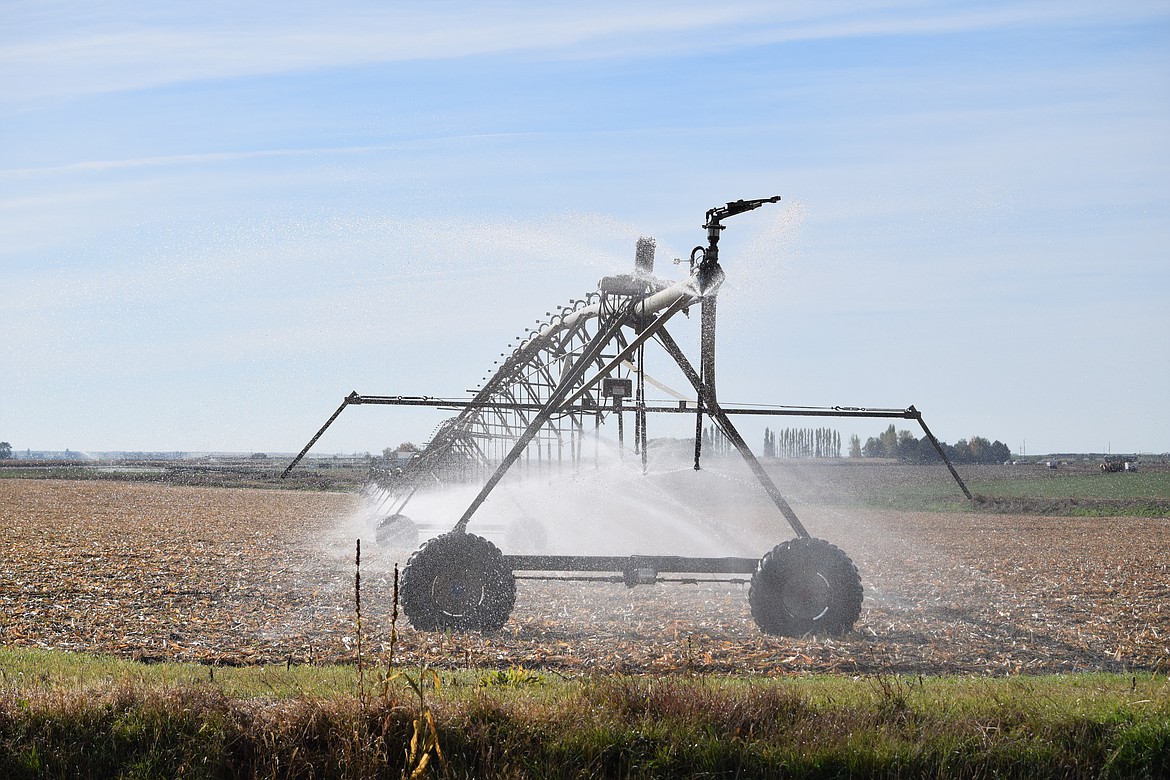 An irrigation pivot wets down a field between Moses Lake and Warden in mid-October.
