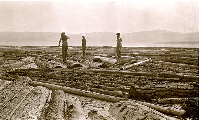 Log wranglers on log island in Flathead Lake near Bigfork Bay. These logs were floated down the Swan River from Swan Lake, and
then moved across Flathead Lake to the mill in Somers, MT. Attribution: University of Montana, Mansfield Library